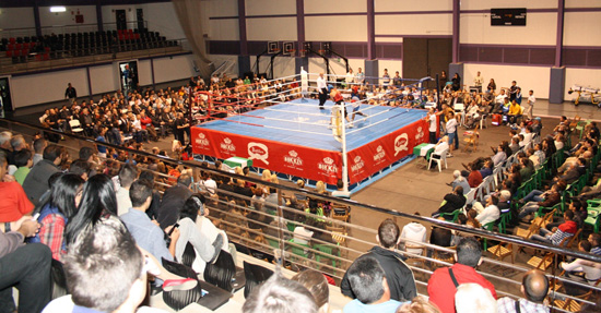 nbv2012